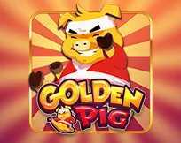 Golden Pig